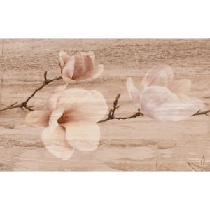 25x40_pastel_beige_magnolia_5850