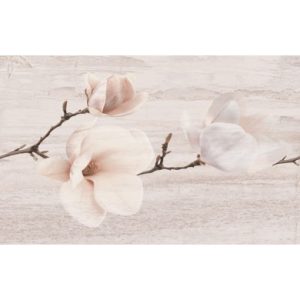 25x40_pastel_magnolia_light_beige_5844